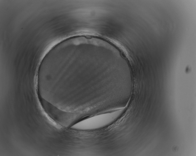 X0000094381383200711242012