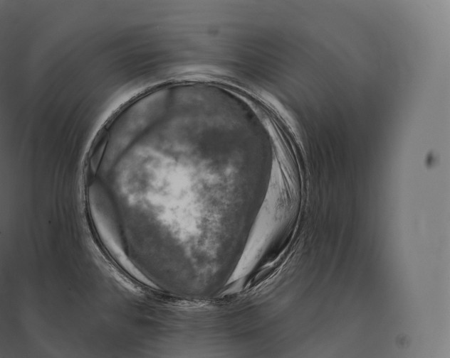 X0000094381384200711242012