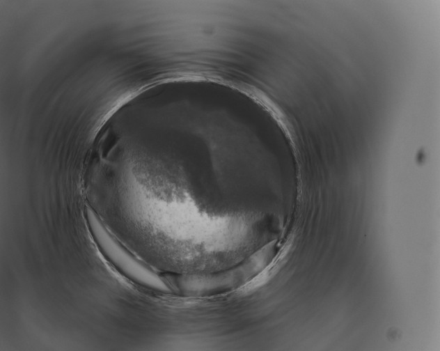 X0000094381385200711242012