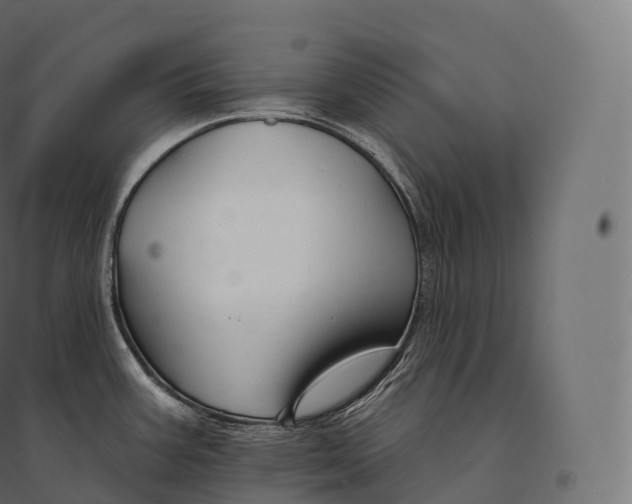 X0000094381387200711242012