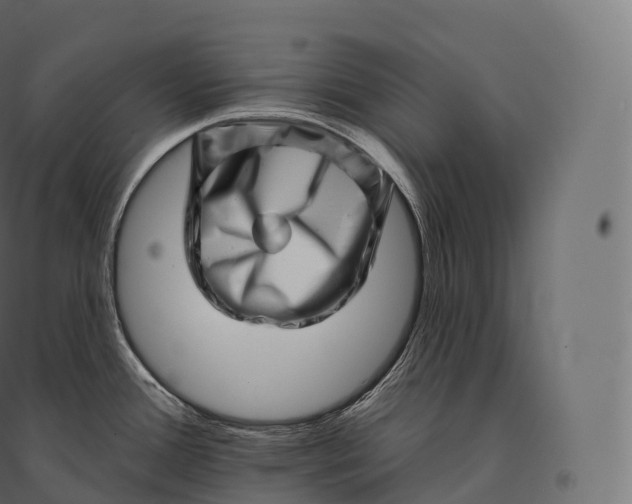 X0000094381388200711242012