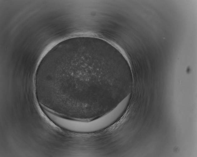 X0000094381389200711242012