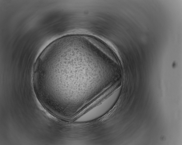 X0000094381390200711242012
