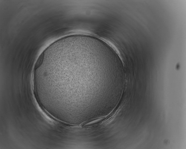 X0000094381391200711242012
