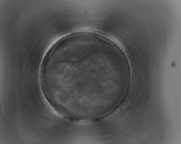 X0000094381392200711242012