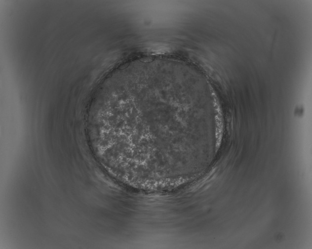 X0000094381393200711242011