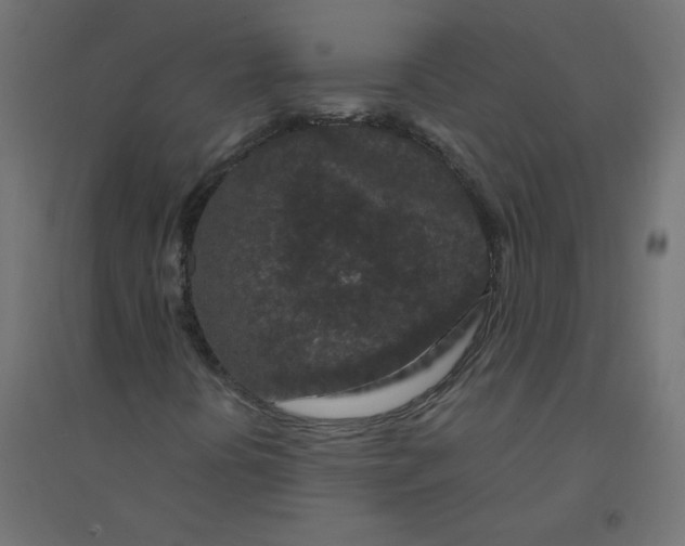 X0000094381394200711242011
