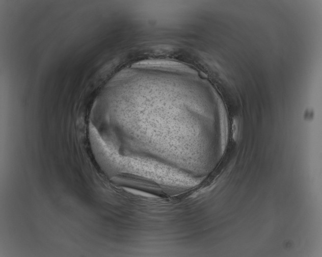 X0000094381395200711242011