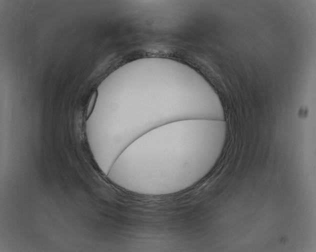 X0000094381396200711242011