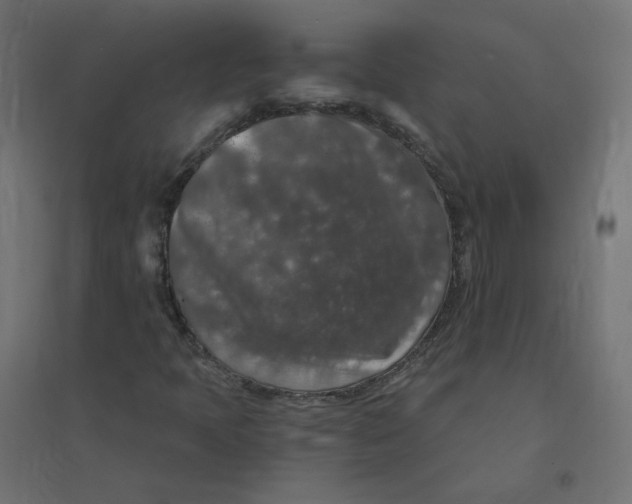 X0000094381397200711242011