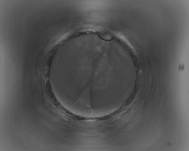 X0000094381399200711242012