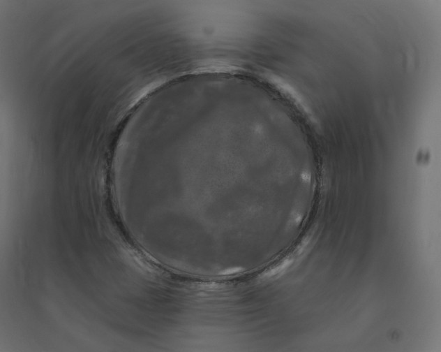 X0000094381401200711242012