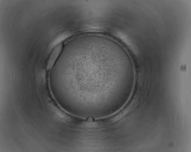 X0000094381402200711242012