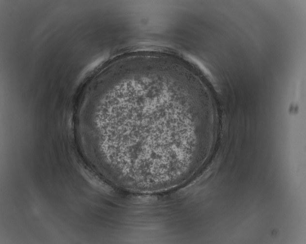 X0000094381403200711242012