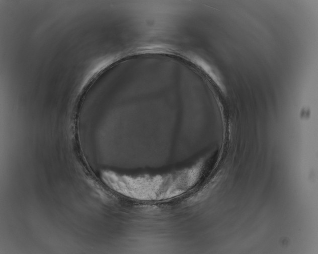 X0000094381405200711242012