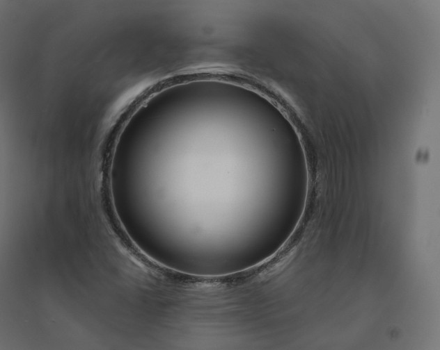 X0000094381406200711242012