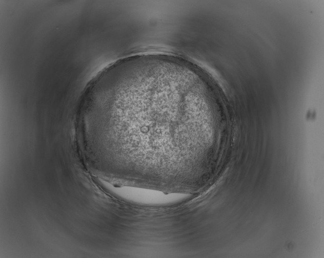 X0000094381407200711242012