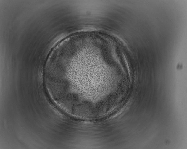 X0000094381409200711242012