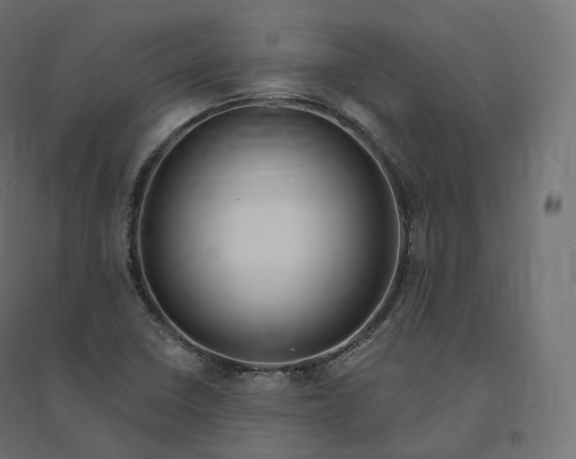 X0000094381410200711242012