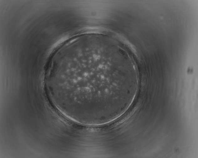 X0000094381411200711242012