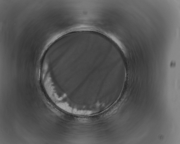 X0000094381413200711242012