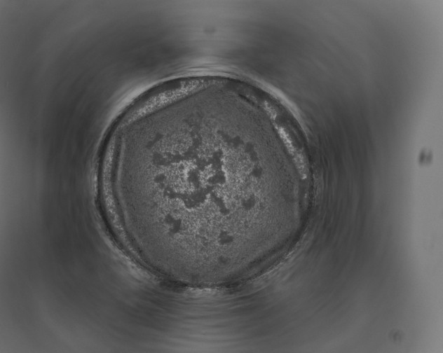 X0000094381415200711242012