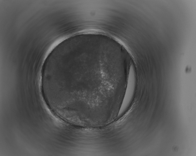 X0000094381418200711242012