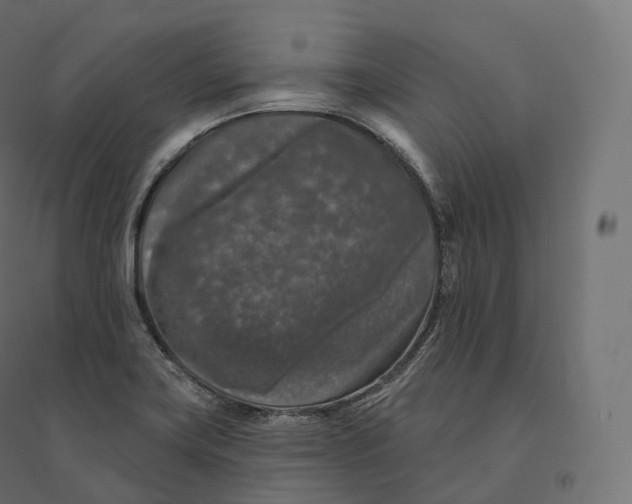 X0000094381419200711242012