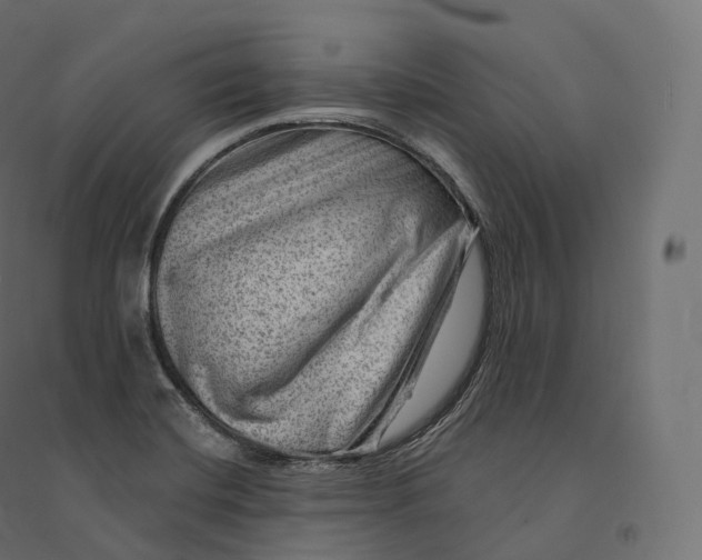 X0000094381420200711242012