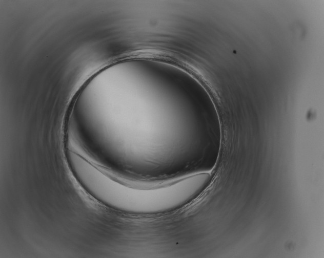X0000094381426200711242012