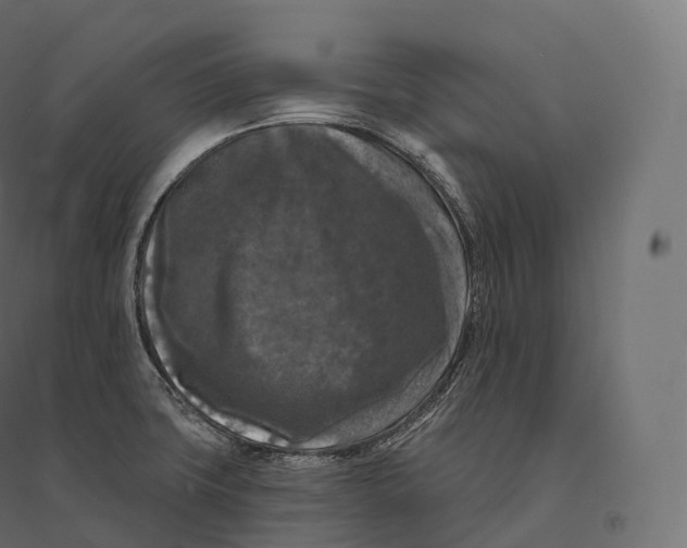 X0000094381427200711242012