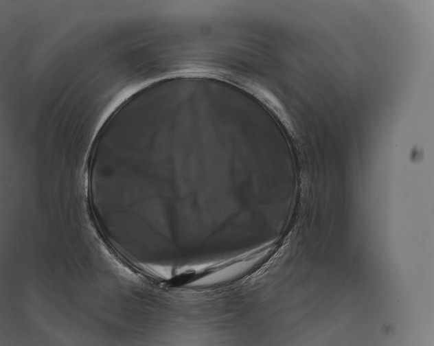 X0000094381428200711242012