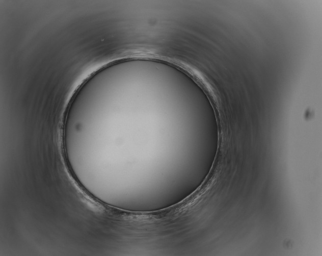 X0000094381432200711242012