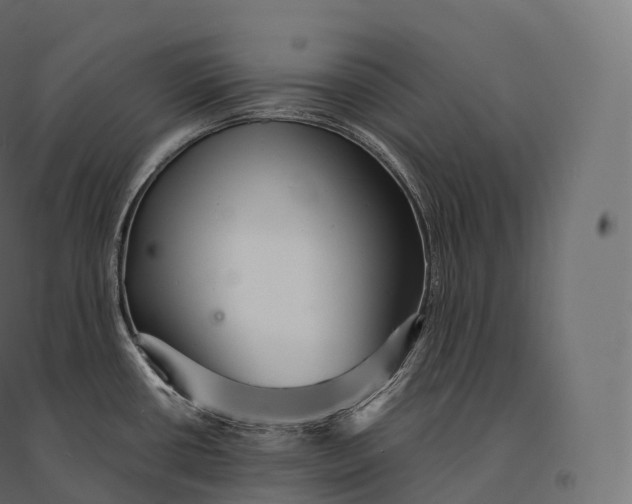 X0000094381434200711242012