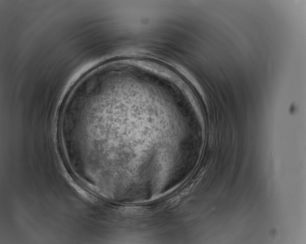 X0000094381437200711242012