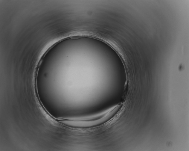 X0000094381438200711242012