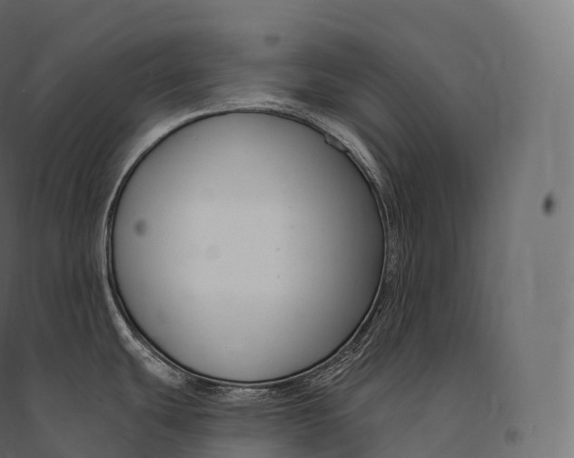 X0000094381439200711242012