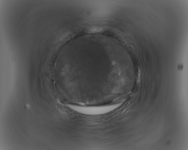 X0000094381441200711242011