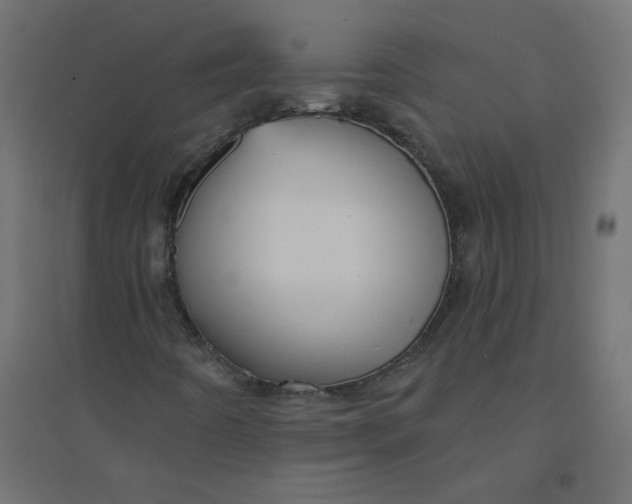 X0000094381442200711242011