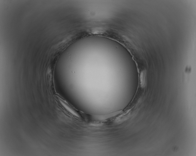X0000094381443200711242011