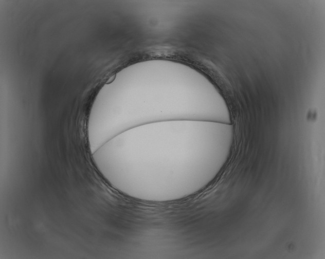X0000094381444200711242011