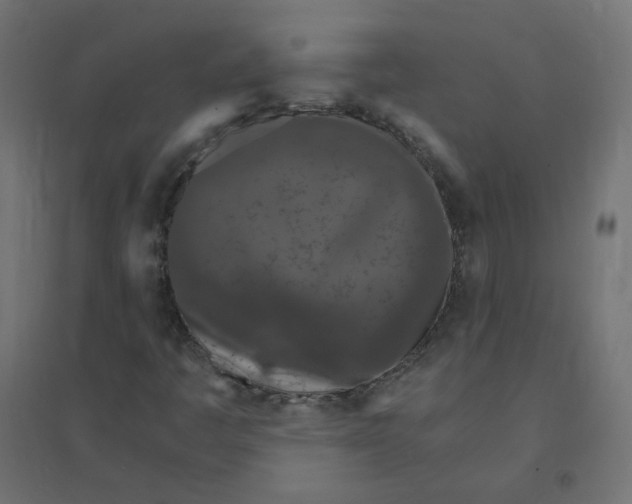 X0000094381445200711242011