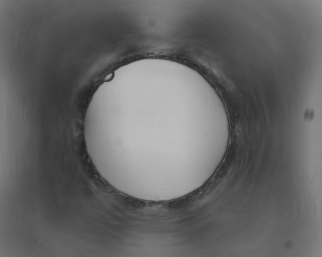X0000094381447200711242011