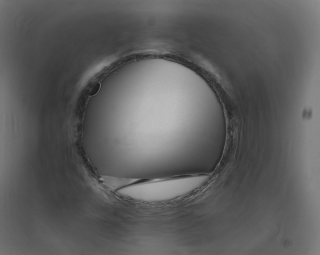 X0000094381448200711242011