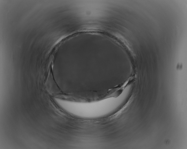 X0000094381449200711242011