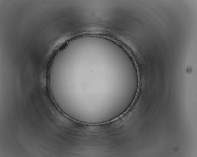 X0000094381451200711242011
