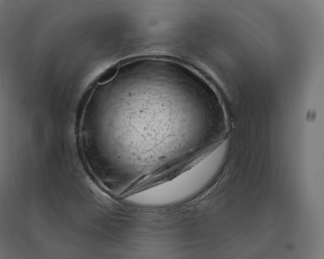 X0000094381452200711242011