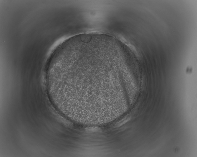 X0000094381454200711242011