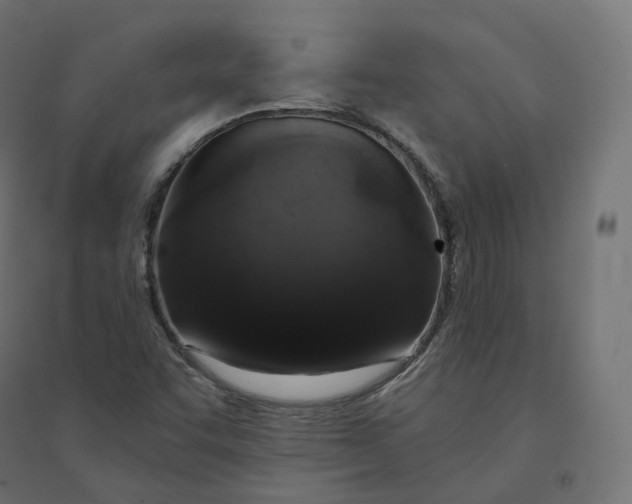 X0000094381455200711242011