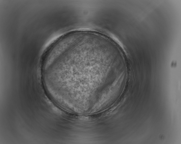 X0000094381456200711242011